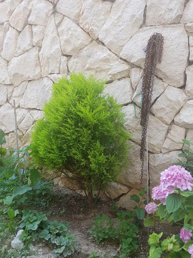 לוקבה Apartments House Of The Rising Sun - Puljic מראה חיצוני תמונה